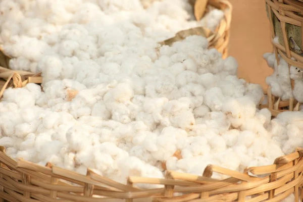 Organic 2000 Pocket Spring Mattress