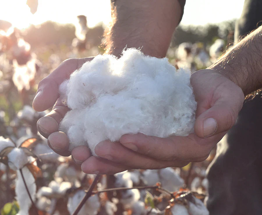 Organic Ultra 6000 Pocket Spring Mattress